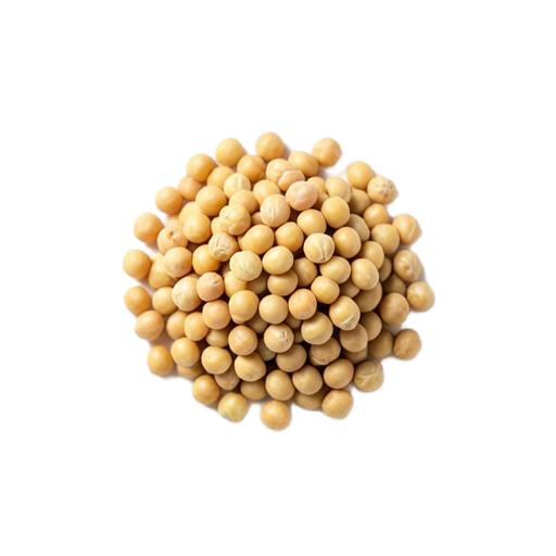 Dehydrated cooked garbanzo beans