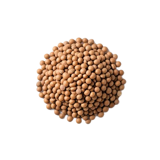 Dehydrated cooked lentils